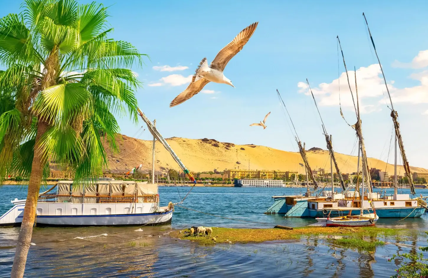 Return Boat Journey to Aswan